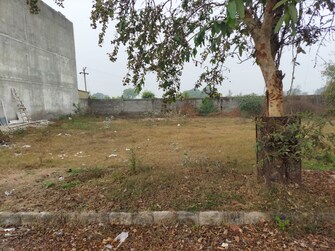 Plot For Resale in Faridpur Panipat  7982716