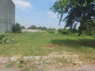 Plot For Resale in Faridpur Panipat  7982716