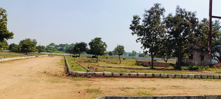 undefined, kothur  165 Sq.Yd. Plot In Kothur Hyderabad 7982829