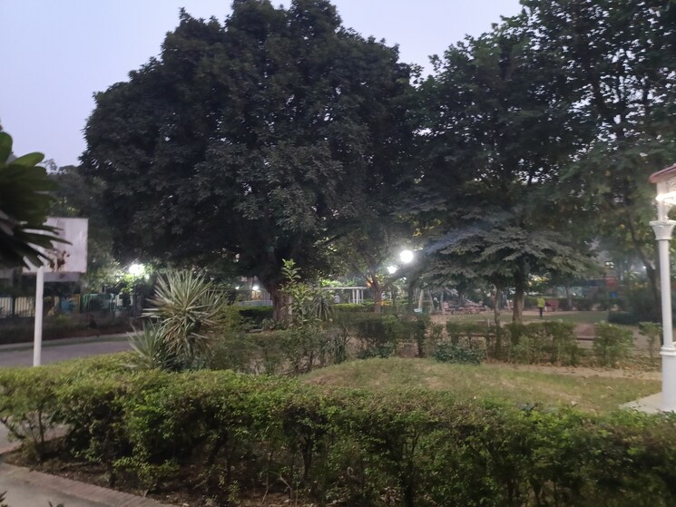 Master Bedroom, unitech-south-city-ii 2 Bedroom 1000 Sq.Ft. Builder Floor In Sector 50 Gurgaon 7983084