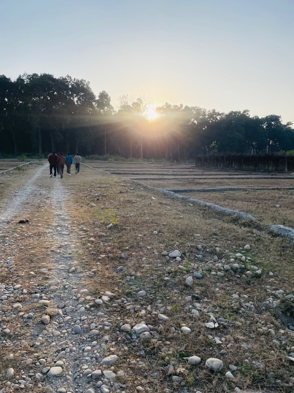 Plot For Sale in Badowala