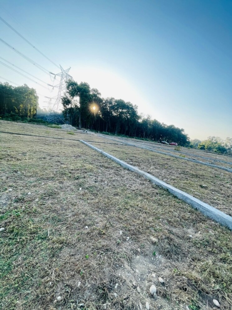 undefined, badowala  169 Sq.Yd. Plot In Badowala Dehradun 7983146