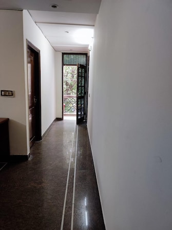 3 BHK Builder Floor For Rent in Chitranjan Park Delhi  7983155