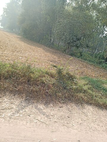 Commercial Land 8800 Sq.Yd. For Resale in Nh 1 Ambala  7983198