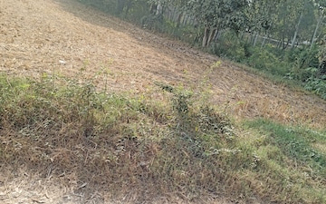 Land For Sale in Nh 1
