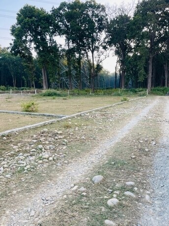 Plot For Resale in Badowala Dehradun  7983291