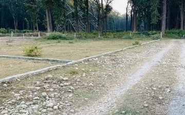 Plot For Sale in Badowala