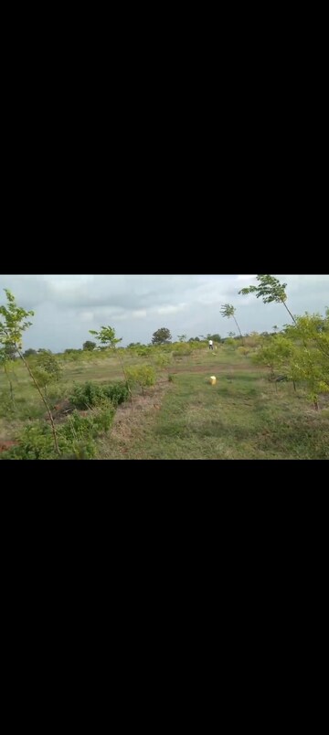 Plot For Resale in Narayankhed Hyderabad  7983374