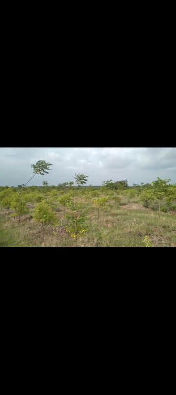 Plot Area in  Plot at Narayankhed – for Sale