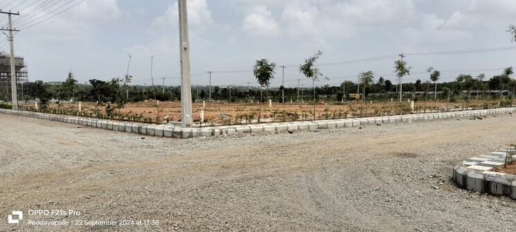 undefined, shadnagar  200 Sq.Yd. Plot In Shadnagar Hyderabad 7983402
