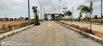 Plot For Resale in Shadnagar Hyderabad  7983402