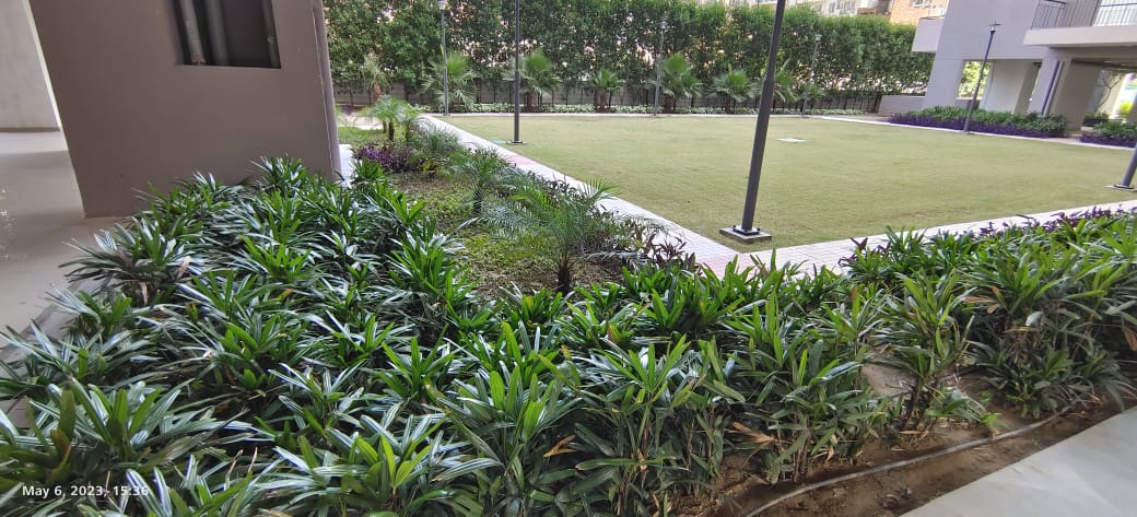 3 BHK + Pooja Room Villa For Sale in BPTP Astaire Gardens