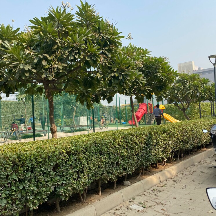 Garden, puri-kohinoor  150 Sq.Yd. Plot In Tikawali Faridabad 7983678