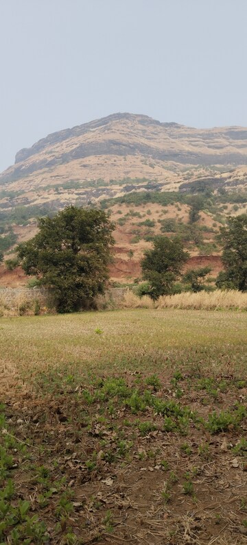  Plot For Sale in Igatpuri