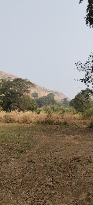 Plot Area in  Plot at Igatpuri – for Sale