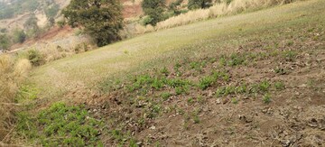 Plot Area in  Plot at Igatpuri – for Sale
