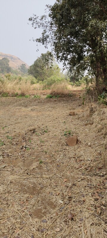 Plot Area in  Plot at Igatpuri – for Sale