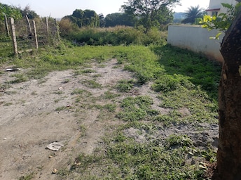 Plot For Resale in Kodipalya Bangalore  7983789