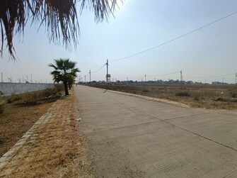 Plot For Resale in Mhow Indore  7983816