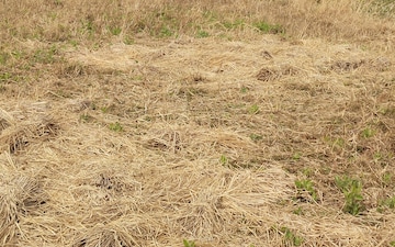 Plot For Sale in Igatpuri