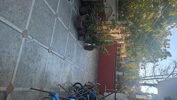 Balcony in 1 BHK Builder Floor at Sector 22 – for Rent