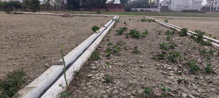 undefined, jankipuram  1200 Sq.Ft. Plot In Jankipuram Lucknow 7983919