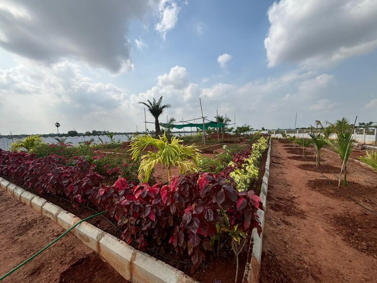 Exterior View, sri-bhumi-eeshaanya  166 Sq.Yd. Plot In Kankipadu Vijayawada 7983961