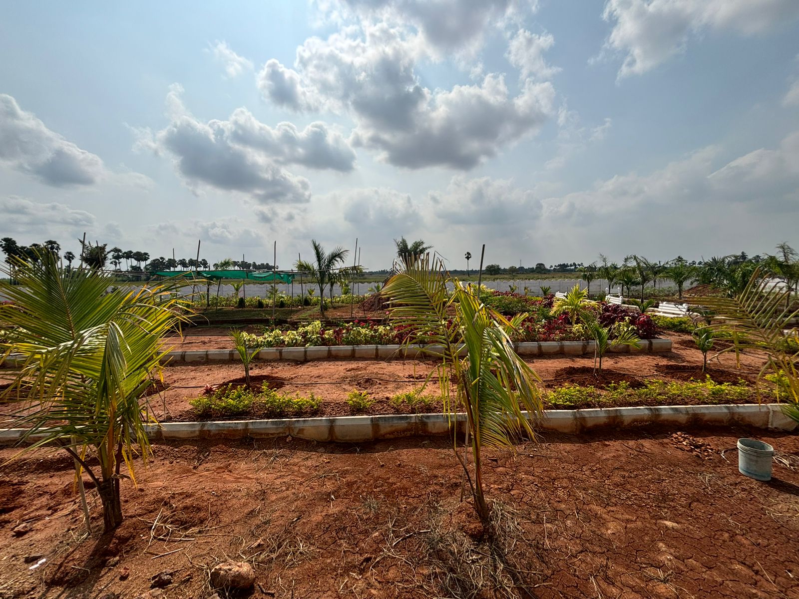 Plot For Sale in Sri Bhumi Eeshaanya