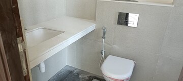 Bathroom in 2 BHK Apartment at Piramal Vaikunth Vairat, Balkum Pada – for Rent