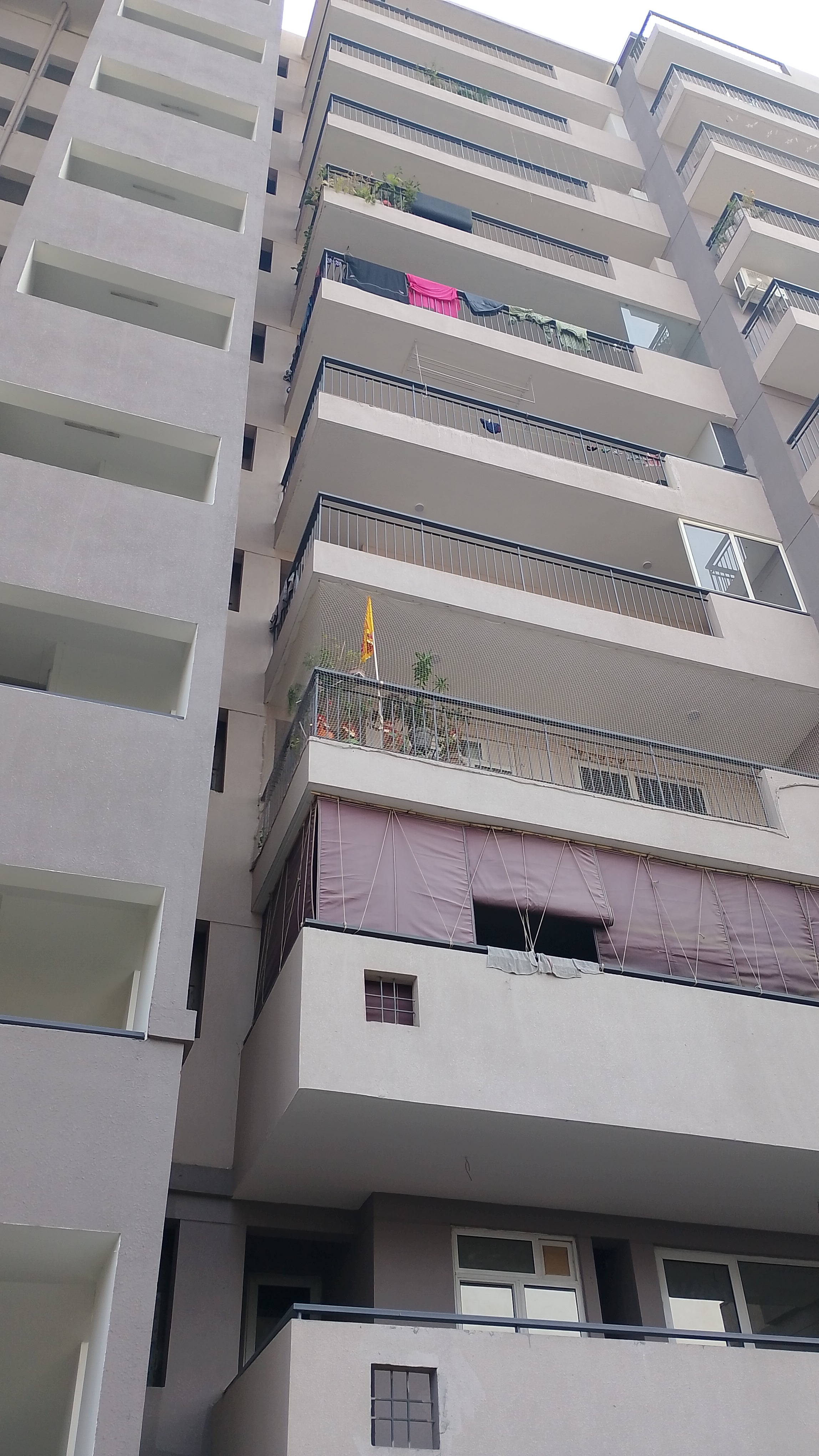 3 BHK + Pooja Room Apartment For Sale in Corona Optus