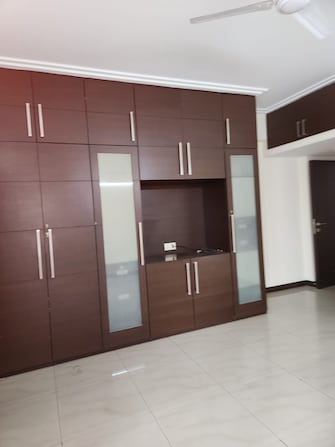 3 BHK Apartment For Rent in Orchid Petals Sector 49 Gurgaon  7984170