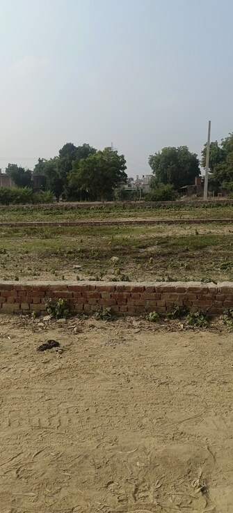 Plot For Resale in Ahmamau Lucknow  7984306