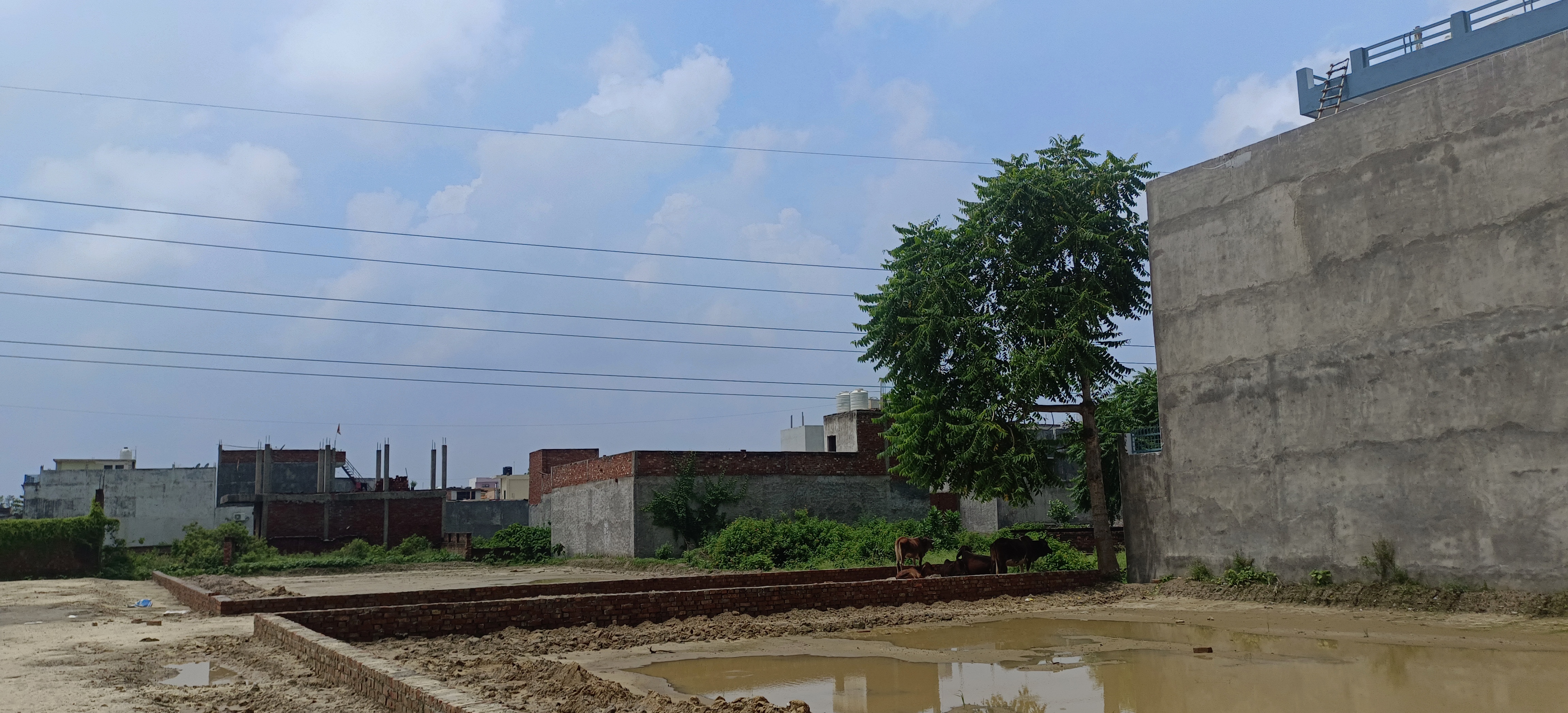 Plot For Sale in Viraj Estate Gosainganj S