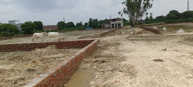 undefined, ahmamau  1000 Sq.Yd. Plot In Ahmamau Lucknow 7984368