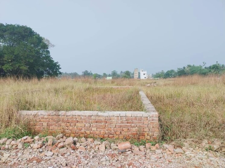 undefined, joka  2160 Sq.Ft. Plot In Joka Kolkata 7984621