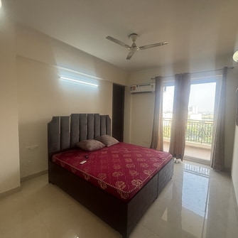 3 BHK Apartment For Rent in Kharar Road Mohali  7984630