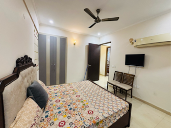 3 BHK Apartment For Rent in Kharar Road Mohali  7984638