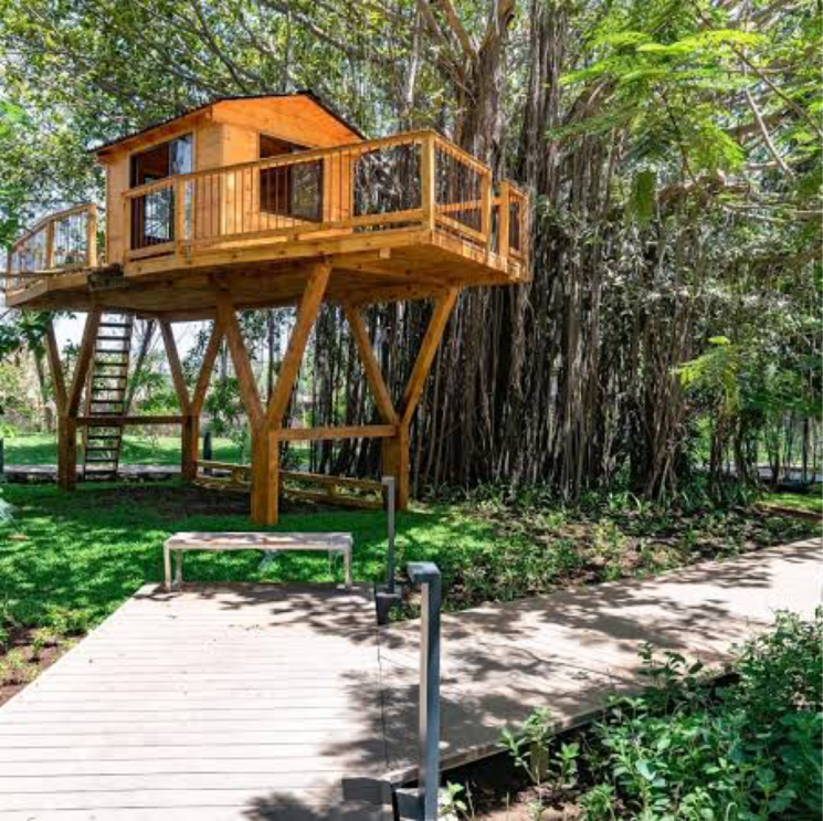 Exterior View, lodha-amara-tower-32-and-33 1 Bedroom 472 Sq.Ft. Apartment In Sandoz Baug Thane 7984683