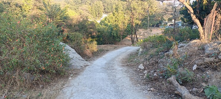 undefined, garhi cantt  250 Sq.Yd. Plot In Garhi Cantt Dehradun 7984792