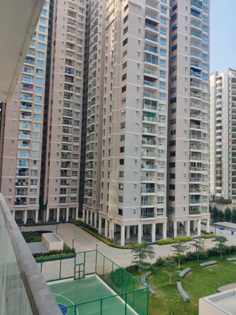 3 BHK Apartment For Rent in Marina Skies Hi Tech City Hyderabad  7984806