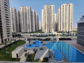 3 BHK Apartment For Rent in Marina Skies Hi Tech City Hyderabad  7984806