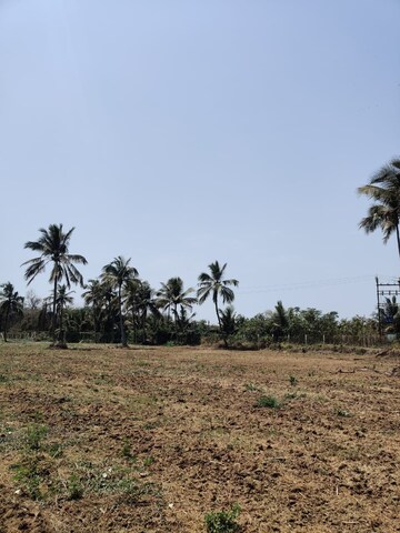 Plot Area in  Plot at Kundrathur – for Sale