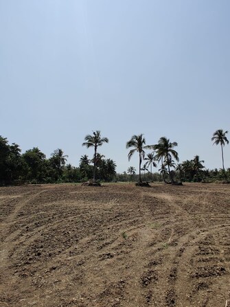 Plot For Resale in Arumbakkam Chennai  7984891