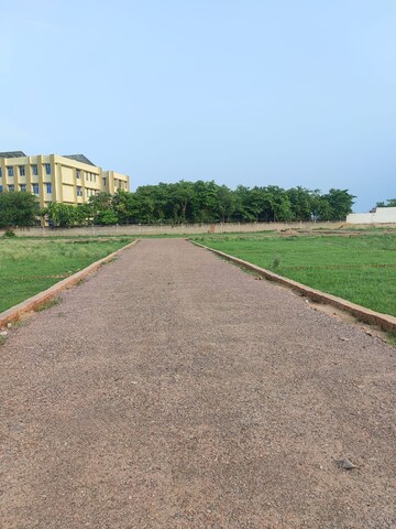 Plot Area in  Plot at Jewar – for Sale