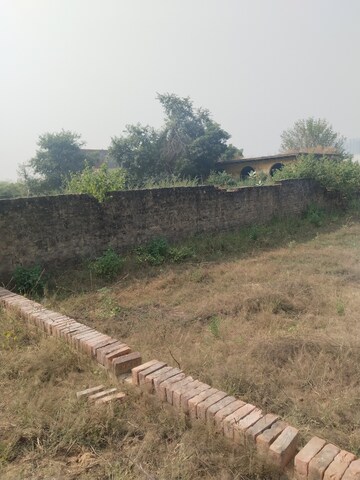 Plot Area in  Plot at Nagalia – for Sale