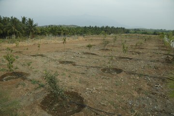 Plot Area in  Plot at Sirumugai – for Sale