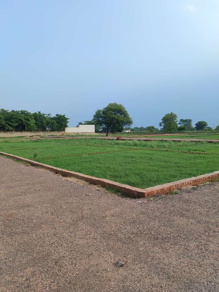 Exterior View, jewar  179 Sq.Yd. Plot In Jewar Greater Noida 7985347