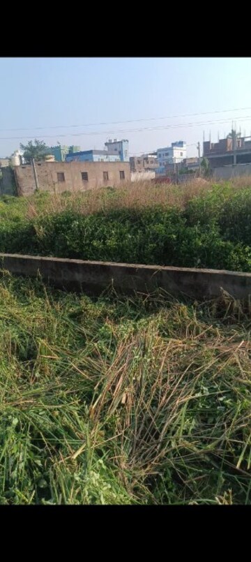 Plot Area in  Plot at Ainthapali – for Sale
