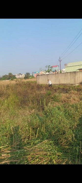 Plot For Resale in Ainthapali Sambalpur  7985911