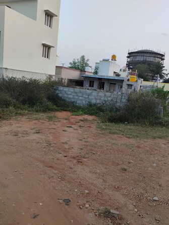 Plot For Resale in Belvata Mysore  7985016